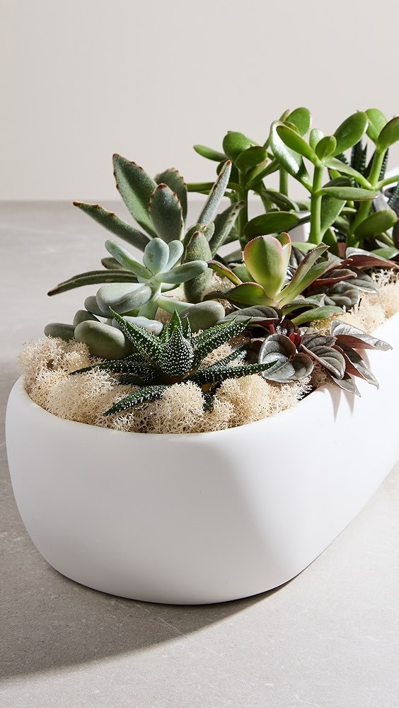 Cuadrado Long Centerpiece Bowl